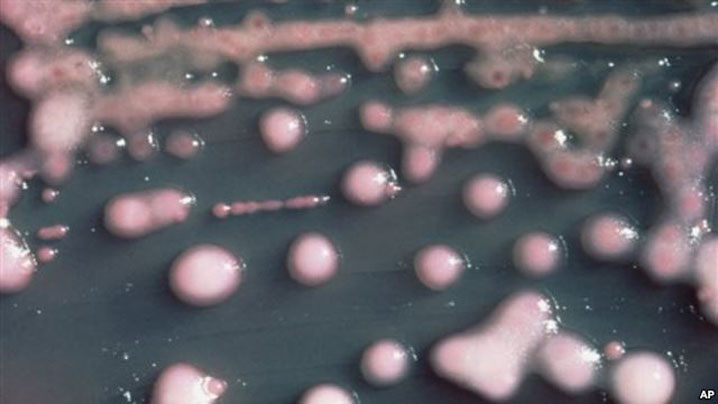 Globális veszéllyé vált az antibiotikum rezisztencia