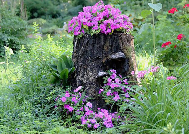 tree-stump-flower-garden-11__605