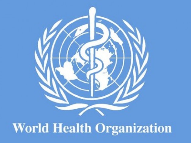 Az Emmi és a WHO értékelte az egészségügyi kihívásokat