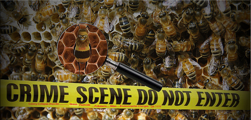 Tömeges méhpusztulás és a chemtrail tevékenység közti kapcsolat