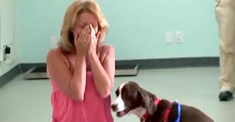 Így reagált a nő, mikor meglátta, hogy lebénult kutyusa újra tud járni - megható videó