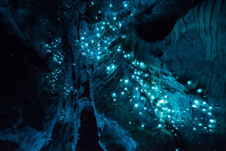 waitomo-glowworm-cave-new-zealand-joseph-michael-10__880