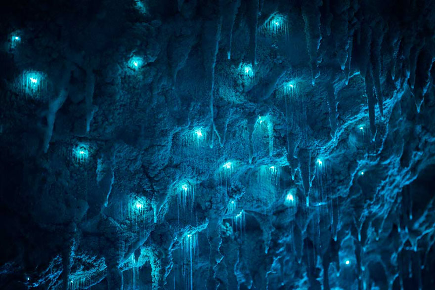 waitomo-glowworm-cave-new-zealand-joseph-michael-11__880