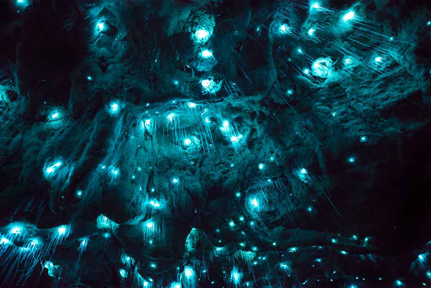 Csodálatos felvételek egy új-zélandi barlangból
