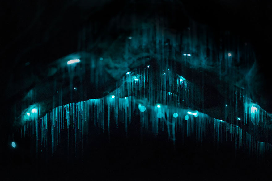 waitomo-glowworm-cave-new-zealand-joseph-michael-14__880