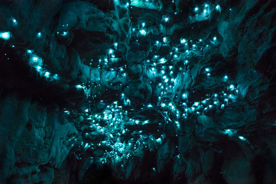 waitomo-glowworm-cave-new-zealand-joseph-michael-16__880