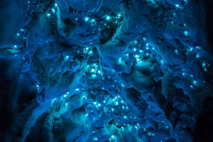 waitomo-glowworm-cave-new-zealand-joseph-michael-2__880