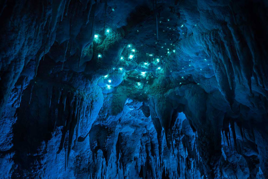 waitomo-glowworm-cave-new-zealand-joseph-michael-4__880