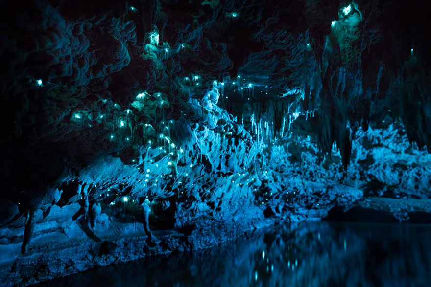 waitomo-glowworm-cave-new-zealand-joseph-michael-6__880 (1)