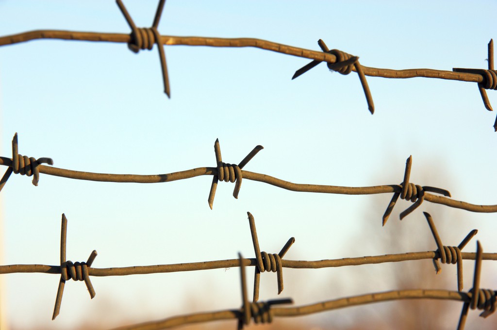 barbed wires