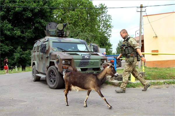 Munkácsi lövöldözés - Az ukrán nemzeti gárda katonái járőröznek Borhalmon