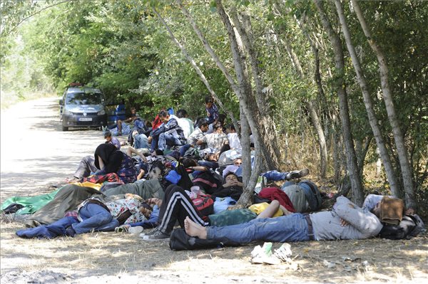 Illegális bevándorlás - Határsértők Csongrád megyében
