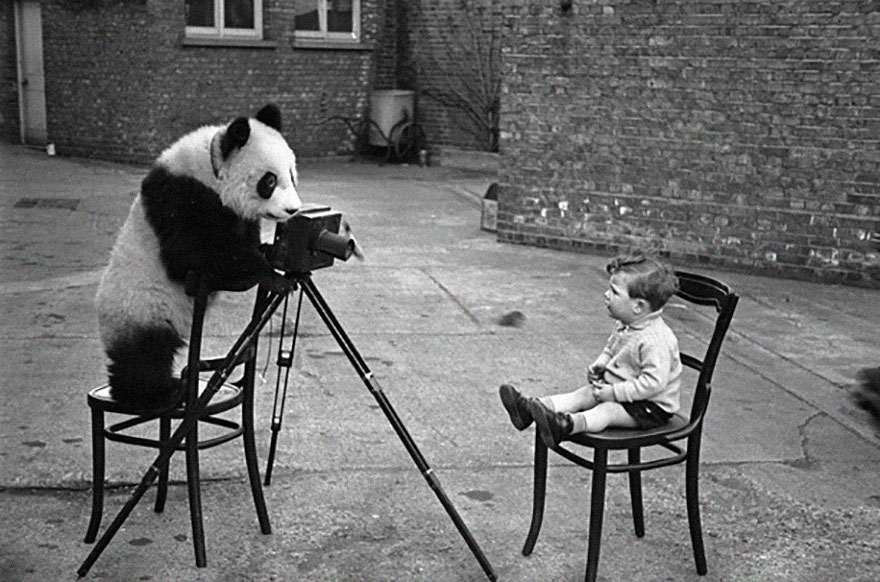 animals-with-camera-helping-photographers-15__880