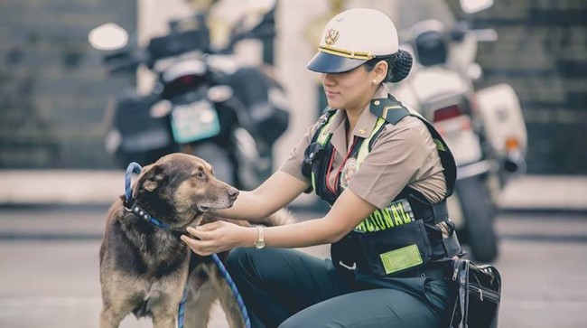 Kóbor állatokon segítenek a perui rendőrnők - megható fotók