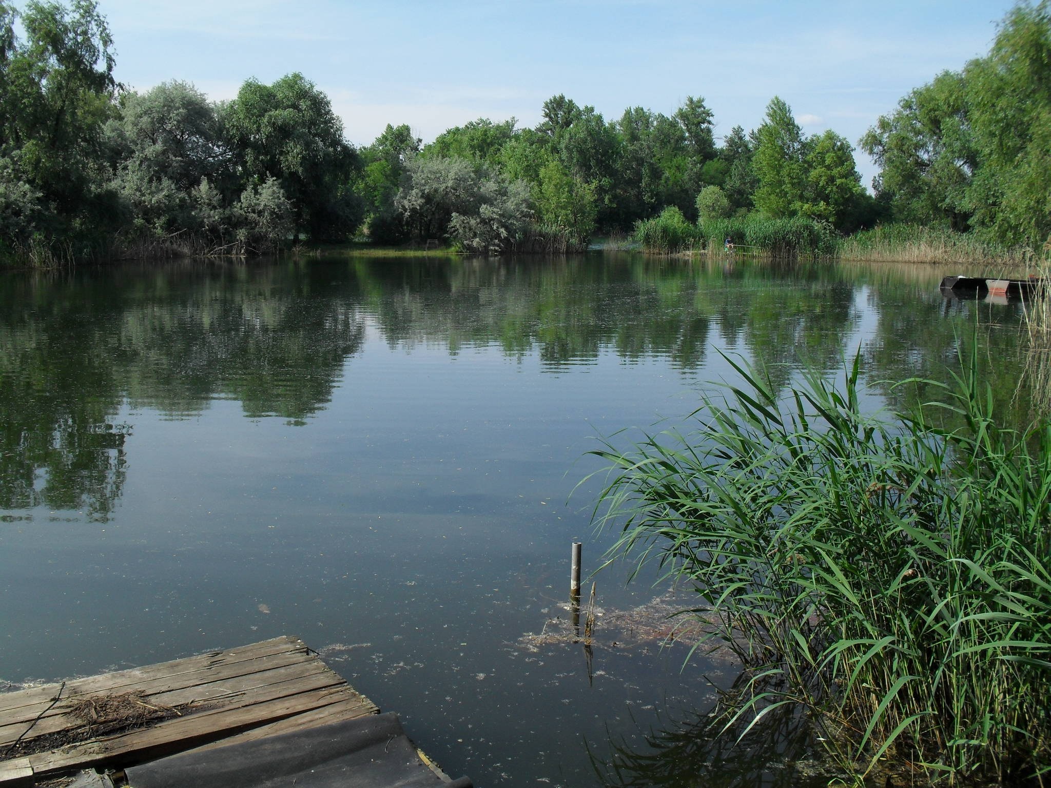 Holtan találták meg az egyik délegyházi tóban elmerült férfit