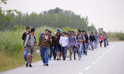 Illegális bevándorlás – Csaknem ezernégyszáz határsértőt tartóztattak fel Csongrád megyében