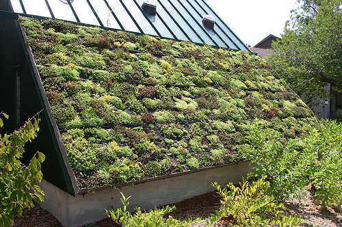 OTP: napelemek, zöld tetők és közösségi terek kialakítására pályáztak a társasházban élők