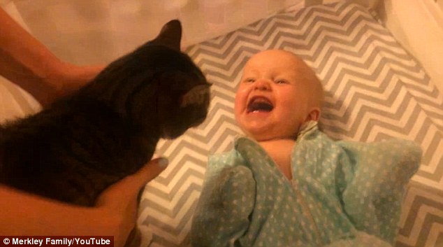 Szinte kibújik örömében a bőréből a baba, mikor először látja a cicát – videó
