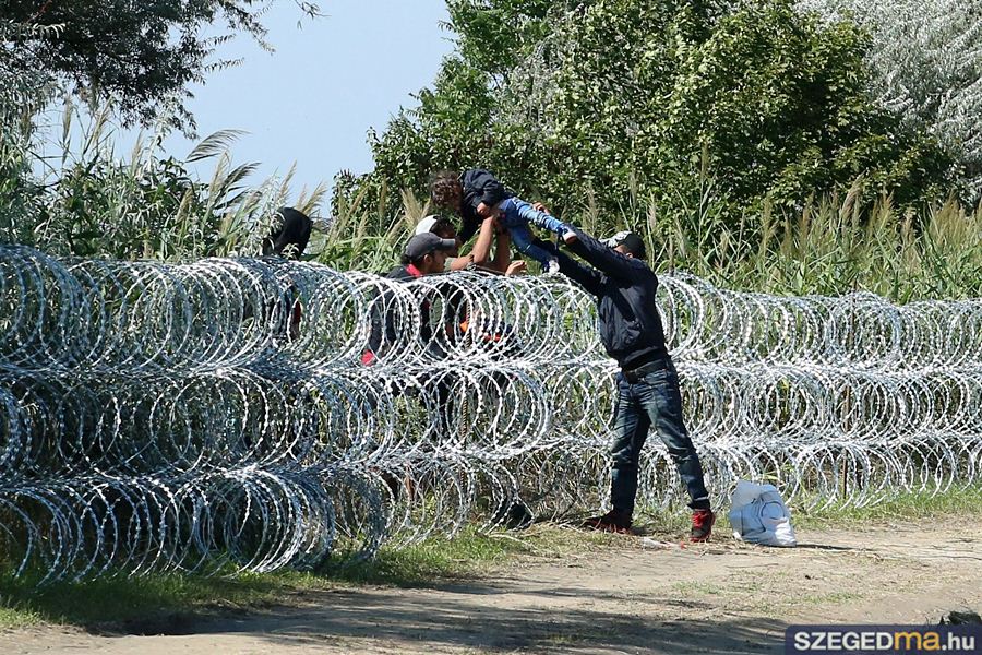 Illegális bevándorlás - Több mint kétezer határsértőt tartóztattak fel Csongrádban