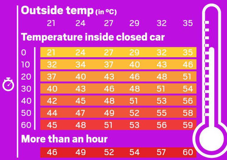 temperatures-in-a-hot-car