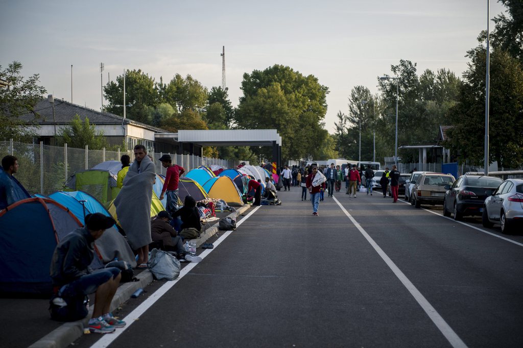 Illegális bevándorlás - A két horgosi határátkelő között haladnak a migránsok Magyarország felé