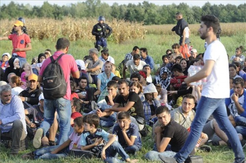 Illegális bevándorlás - Migránsok egy csoportja megpróbálta elhagyni a röszkei gyűjtőpontot