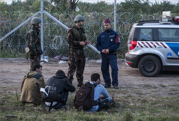 Illegális bevándorlás - M1 - Megrongálták Röszkénél a határkerítést