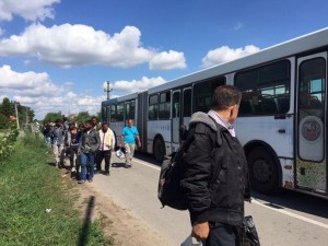 Illegális bevándorlás - Már a szerb-magyar határról is indult busz a horvát határ felé