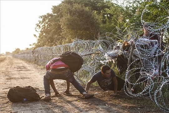 Illegális bevándorlás - Egyre több migráns vár arra, hogy beléphessen Röszkénél