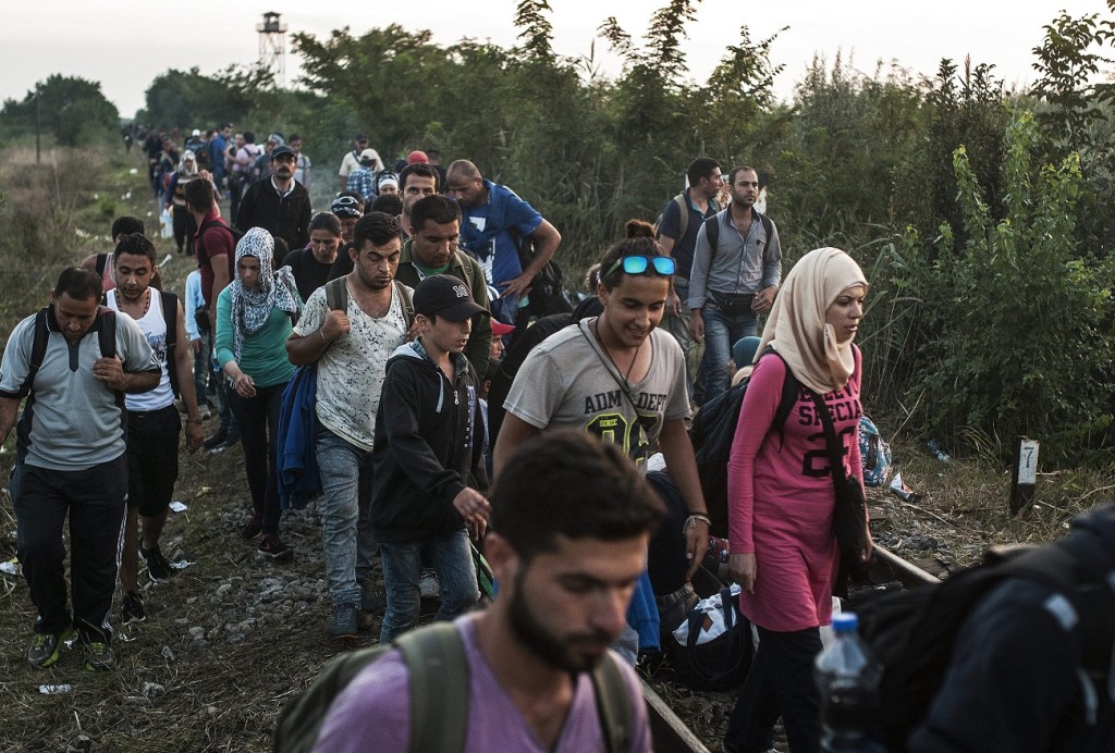 Illegális bevándorlás - Migránsok a magyar-szerb határnál