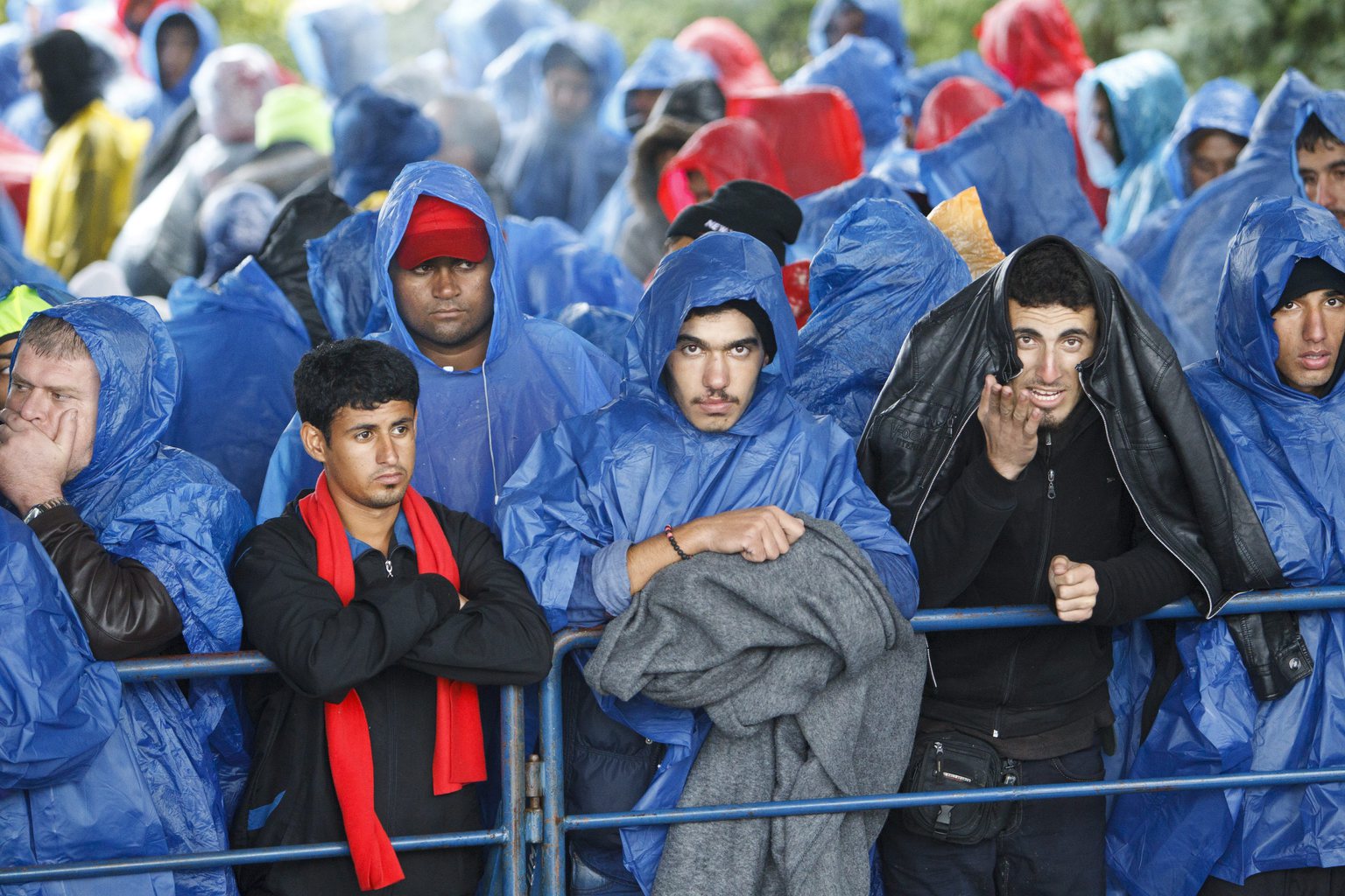 Horvátország beengedett néhány ezer migránst Szerbiából (2. rész)
