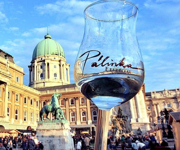 A gin a Budavári Pálinka- és Kolbászfesztivál vendégpárlata