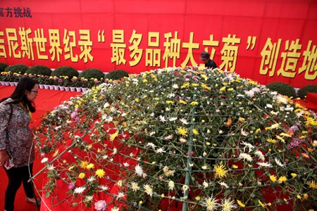 Egyedi kínai krizantém került a Guinness-rekordok közé