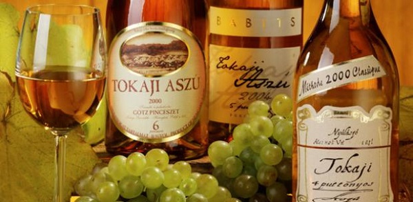 A Tokaj Kereskedőház borait a vendéglátóhelyeken is értékesítik októbertől