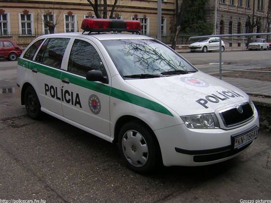 November elsején lépnek szolgálatba a cseh rendőrök Magyarországon