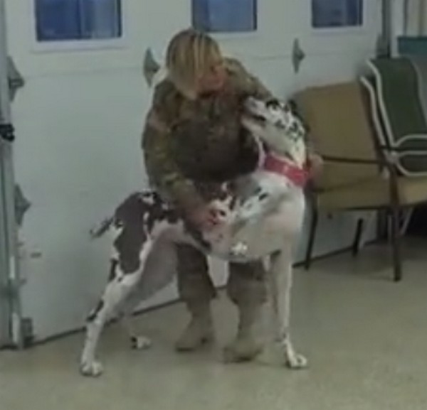 Felfoghatatlan öröm- újra látják katona gazdijukat a kutyusok- videó