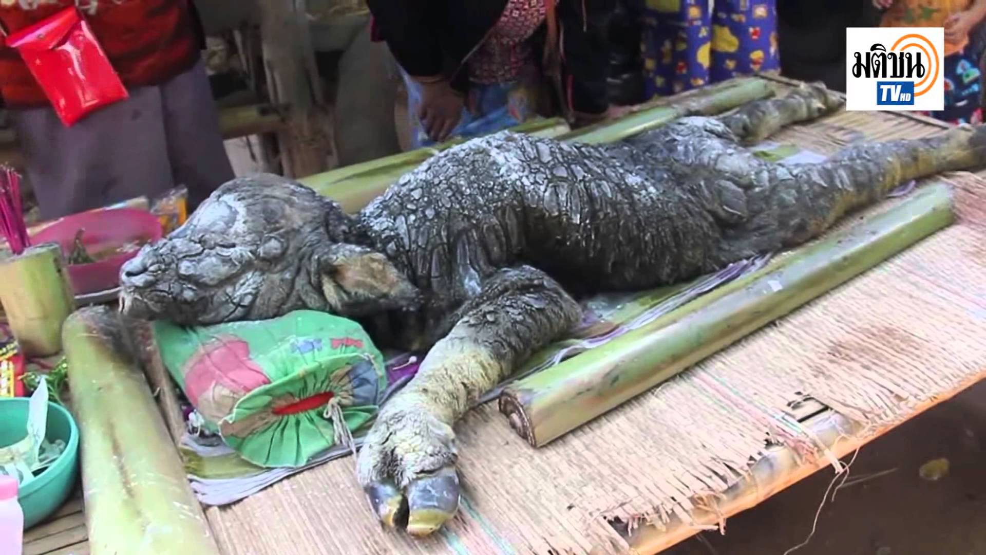 Ijesztő mutáns lény született Thaiföldön - videó 18+