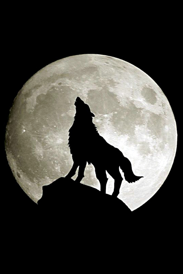 howling-wolf-iphone-wallpaper_dcd7458372f7f8f33010fa54c654f312_raw