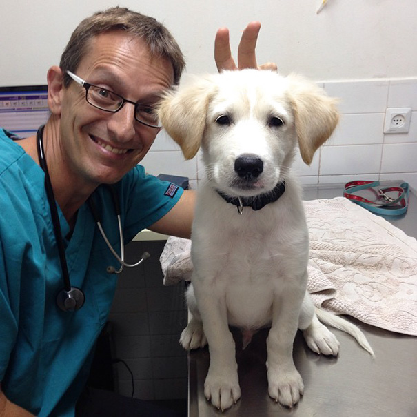 benefits-working-with-animals-at-vet-clinic-261__605