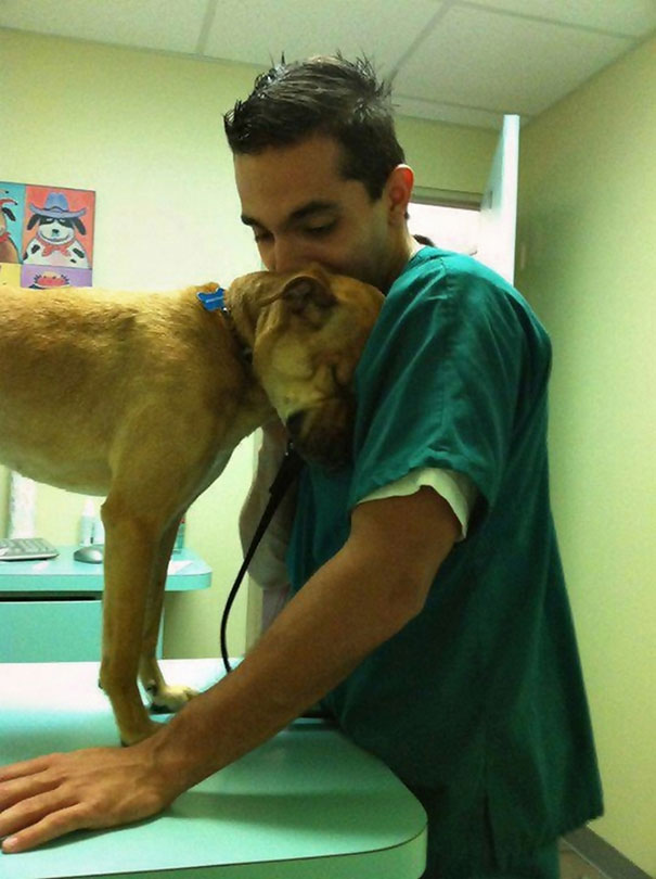 benefits-working-with-animals-at-vet-clinic-31__605