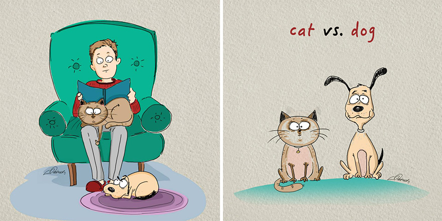 Vicces képek a különbségről kutyák és macskák között