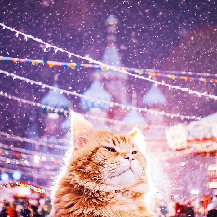 moscow-city-looked-like-a-fairytale-during-orthodox-christmas-17__700