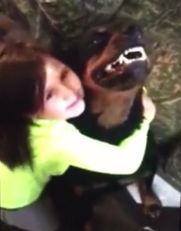 Elképesztő, amit ez a kislány meg nem mert tenni ezzel a vicsorgó kutyával- videó