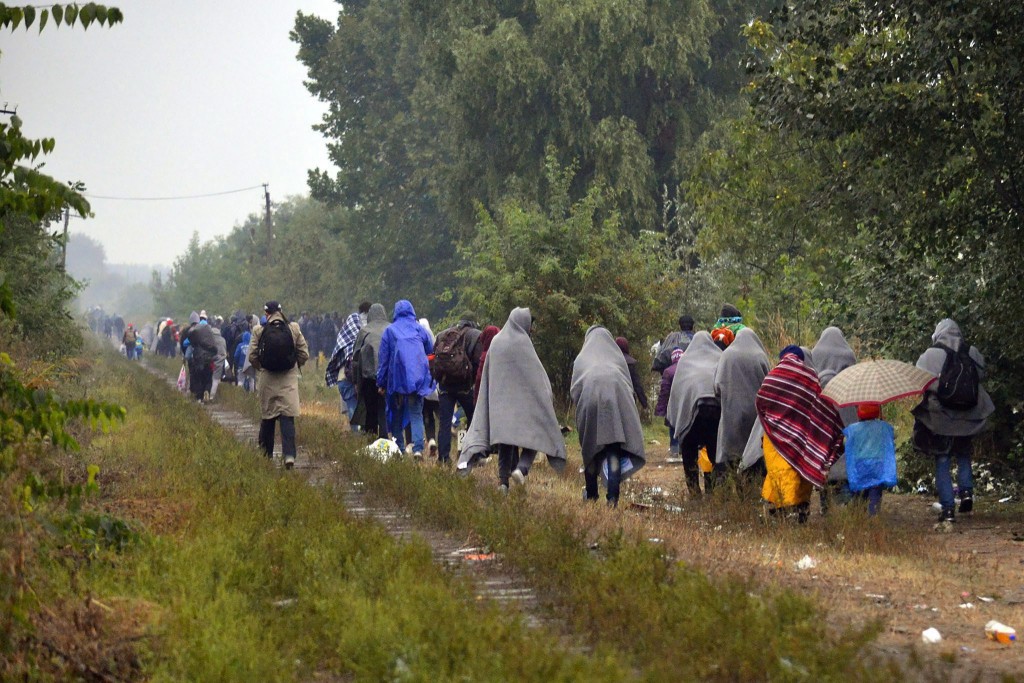 Takács Szabolcs: a migráció lelassítása és leállítása a cél