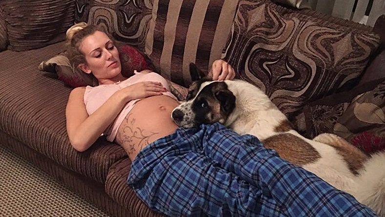 Akita kutyája jelezte a nőnek, hogy terhes, aztán megmentette az életét