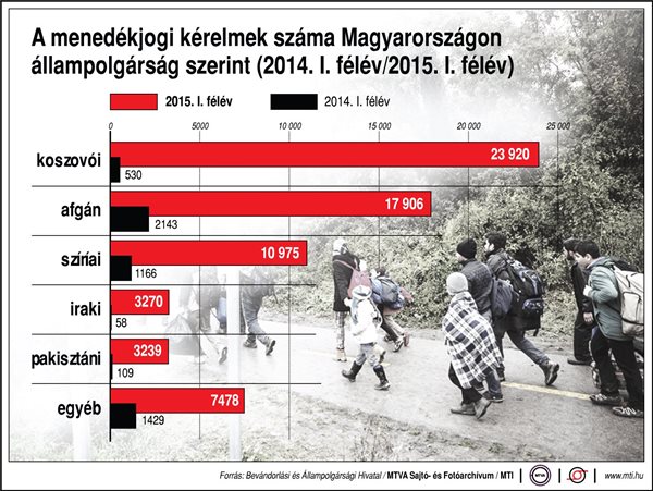 A menedékjogi kérelmek száma Magyarországon állampolgárság szerint