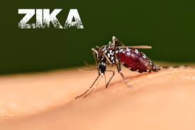 Csehországban is megjelent a  zikavírus