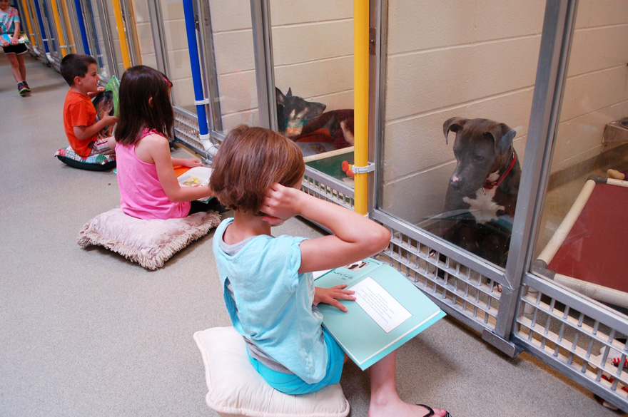 Gyerekek olvasnak fel menhelyi kutyáknak