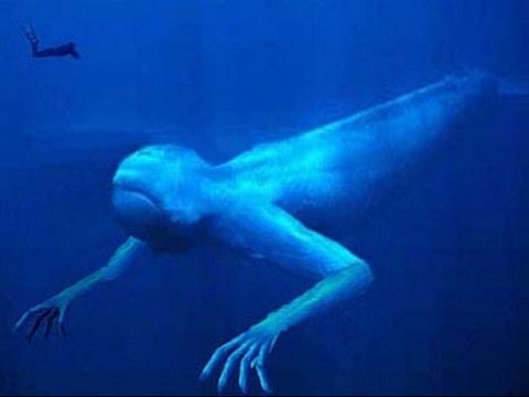 Bizarr tengeri szörnyet kaptak lencsevégre az Antarktiszon – videó