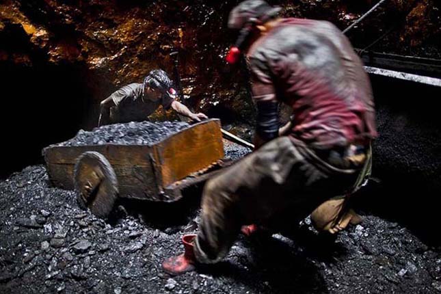 WWF: a környezetre és az egészségre is veszélyes a szénbányászat